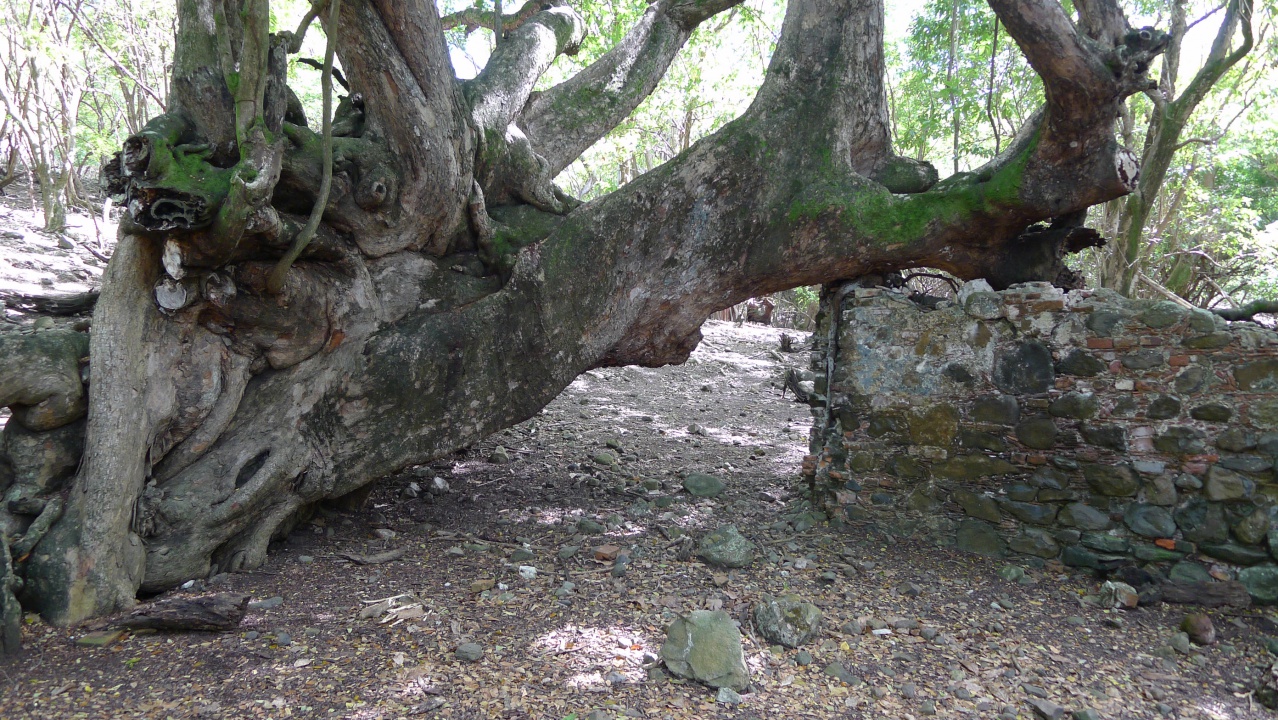 Ruines archéologiques 2, îlet Chancel
