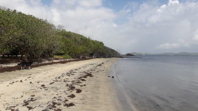 plage de la Pointe Banane au Robert plage de la Pointe Banane au Robert
