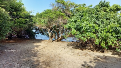 Plage de Baie Coco Plage de Baie Coco