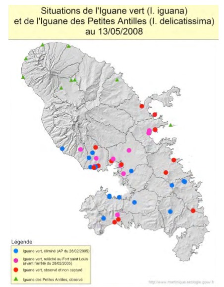 Carte des emplacements d'iguanes en Martinique