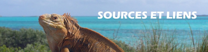 Où voir des iguanes en Martinique ?