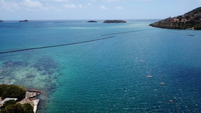 Sargasses Martinique : peut-on faire du bateau dans la baie du Robert ?