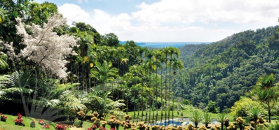 Visite Martinique Jardin de Balata
