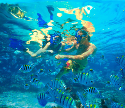 Palme masque tuba Martinique - PMT - snorkeling Palme masque tuba Martinique - PMT - snorkeling