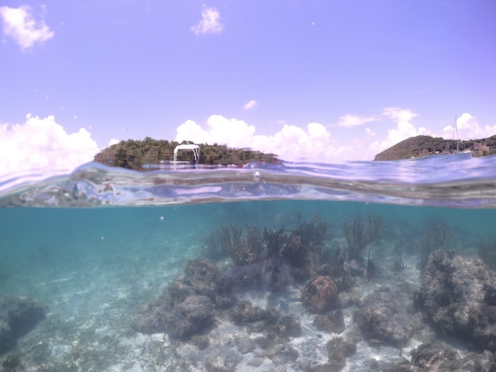 fonds marin à proximité de l’îlet Madame