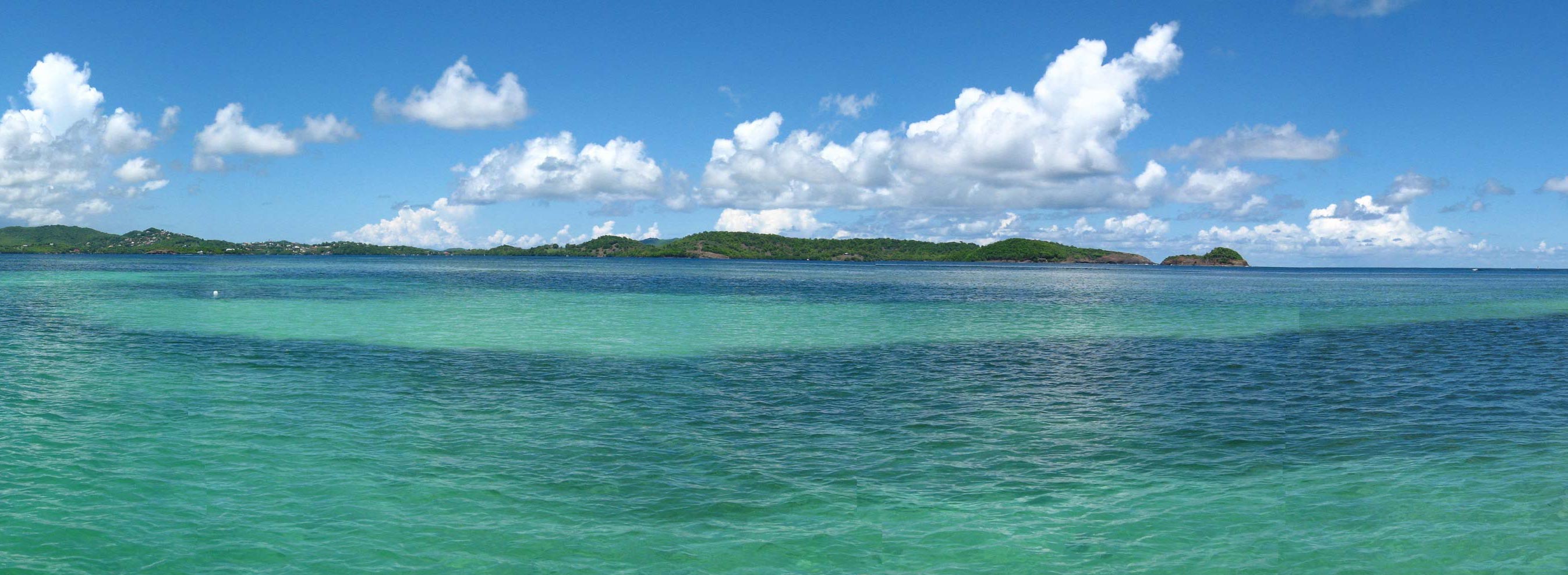 Fond blanc Martinique Fond blanc Martinique