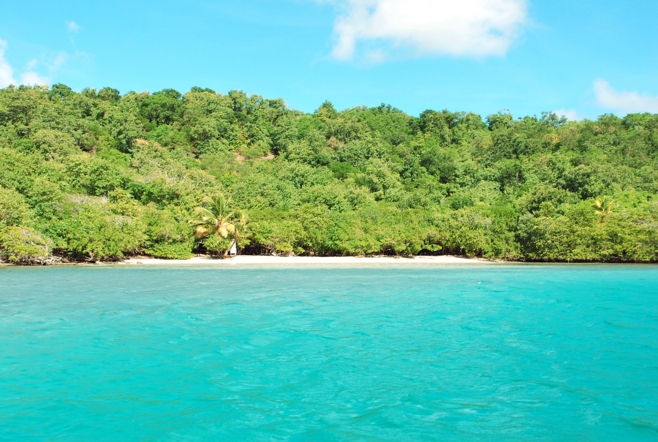 Vue sur la plage du Trapèze