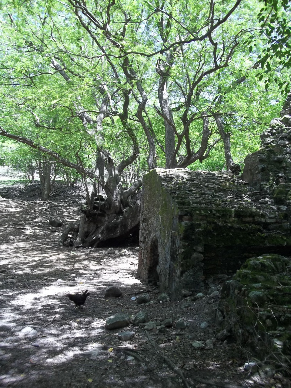 Ruines archéologiques ilet Chancel