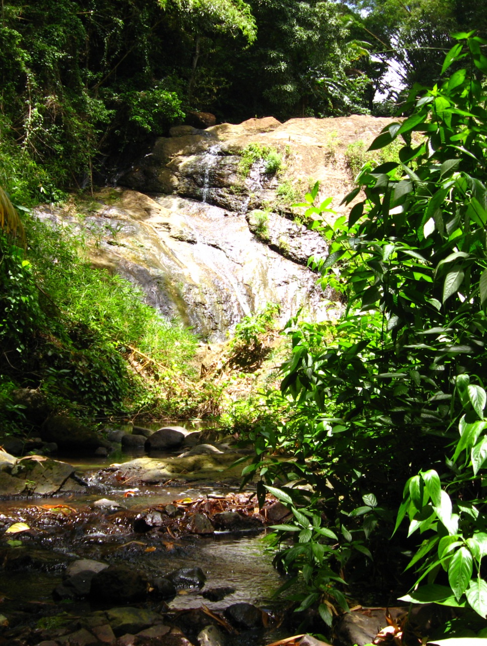 Cascade Fond Nicolas