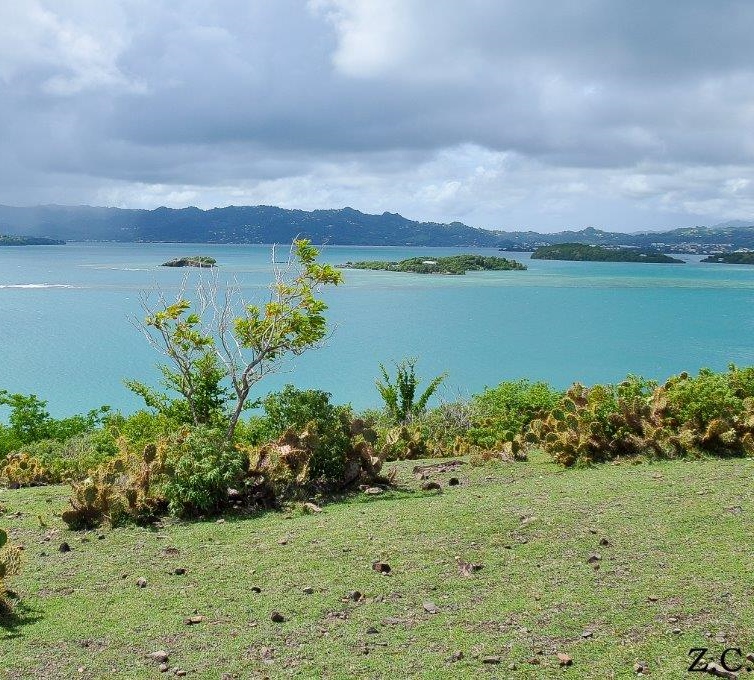 Photos Marion ETIFIER