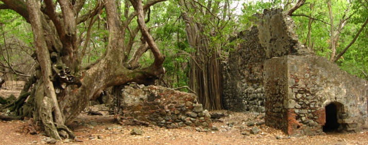 Site archéologique, îlet Chancel Martinique